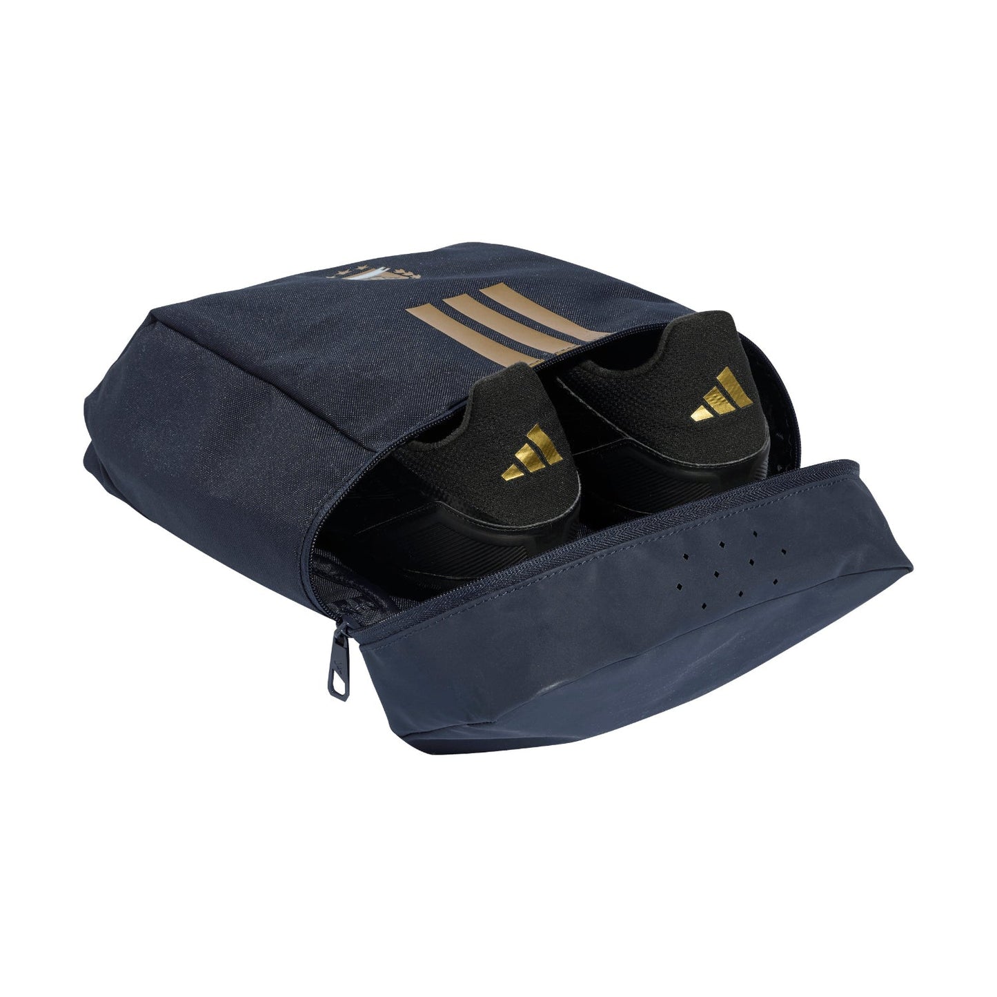 Argentina Shoebag